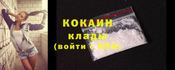 не бодяженный Бородино
